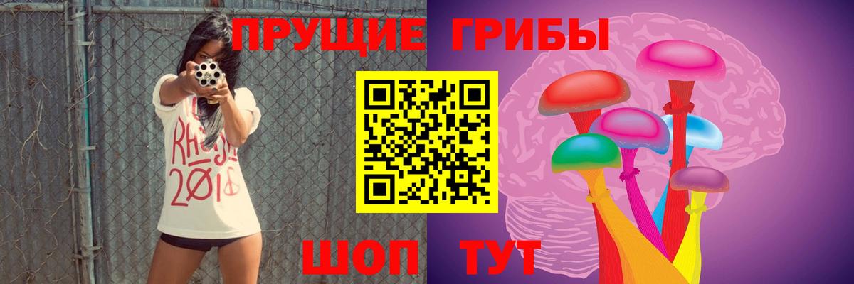 Псилоцибиновые грибы прущие грибы  где продают наркотики  Азнакаево  Вход с VPN 